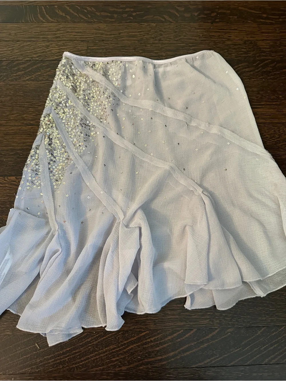 Embellished Light Blue Chiffon Skirt - Picture 6 of 6
